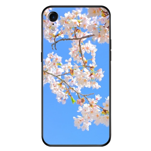 Cherry blossom Custom Toughened Phone Case for iPhone Xr 