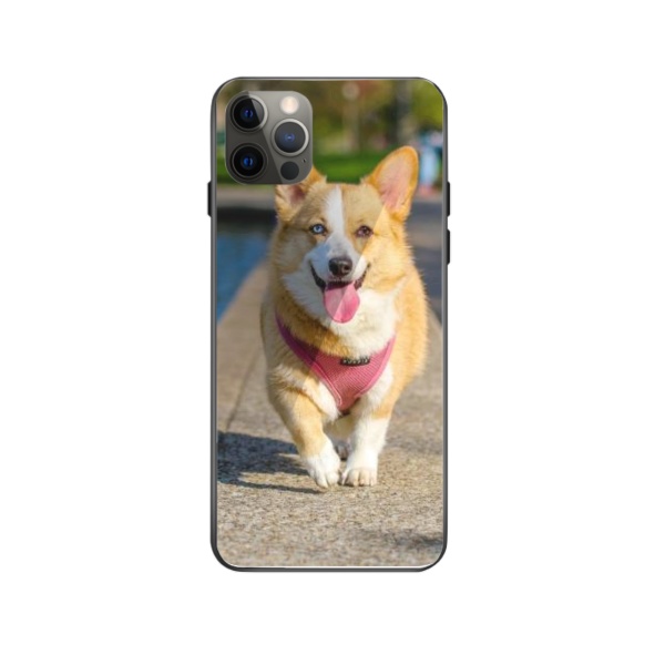 dog Custom Toughened Phone Case for iPhone 12 Pro Max 